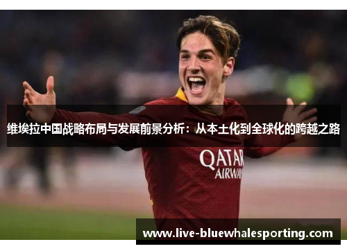 维埃拉中国战略布局与发展前景分析：从本土化到全球化的跨越之路